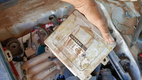 ប៉តវិស្តូឆ្នាំ2000