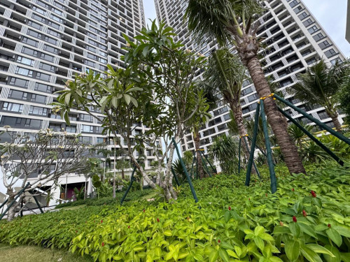 ๐ฅ The Pinnacle Residence โ Studio For Rent