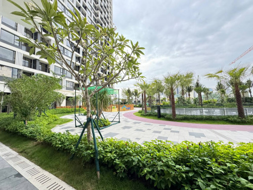 ๐ฅ The Pinnacle Residence โ Studio For Rent