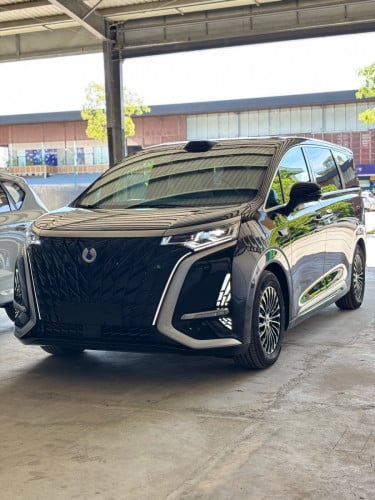 2025 DENZA D9 Full option 