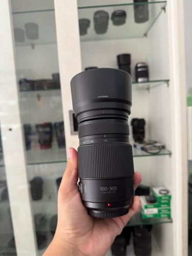 Lumix G Len  100-300 Version II