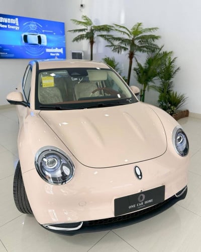 ORA GOOD CAT 2025 អគ្គិសនីសុទ្ធ