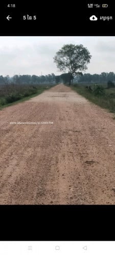 ដីលក់នៅខាងលិចភ្នំតាម៉ៅ