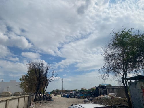 ដីសំរាប់លក់ លើផ្លូវ 217 ចំការដូង ជិតស្រាបៀកម្ពុជា