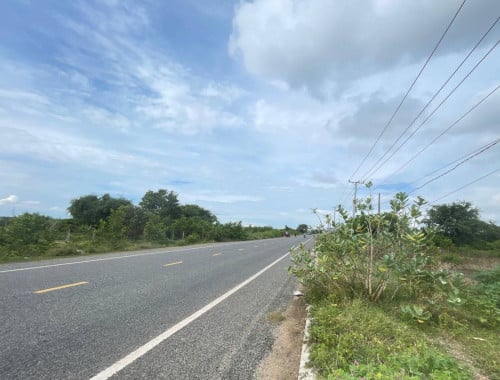 ដីដាក់លក់ (ជាប់ផ្លូវ261) ក្បែរស្តាតថ្មី