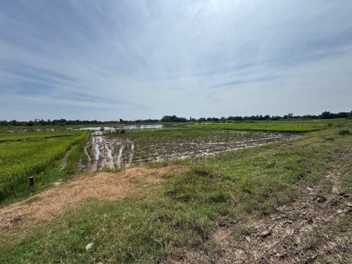 #ដីលក់នៅកៀនស្វាយ(ចុះពីផ្លូវជាតិលេខ១ តែ500m ទេ)-​ ទំហំដី៖​ 1 ហិកតា