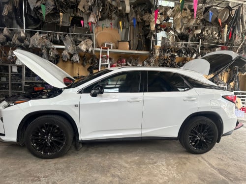 ត្រូវការទិញRX300  019 ឬ020