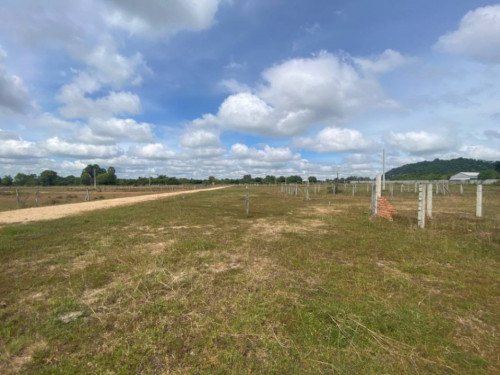 🏦Land Available for Urgent Sale at a Special Price (Negotiable).