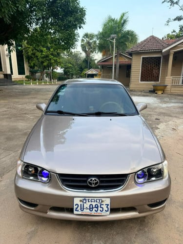 Corolla 01 ម្ចស់ដើម