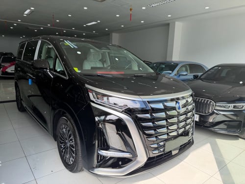 Denza D9 DM-I 2025 plug-in Full option