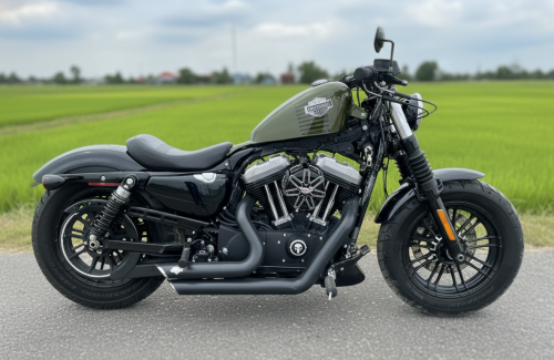 Harley Davidson Sportster Forty Eight 48 2016 STAGE 1