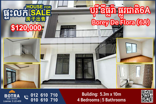 Linkhouse for Sale Borey De Flora, National Road 6A