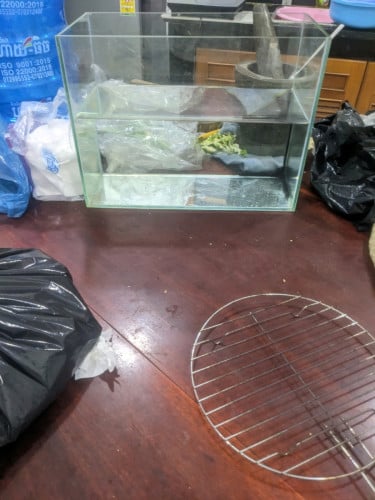 កែវចិញ្ចឹមត្រី