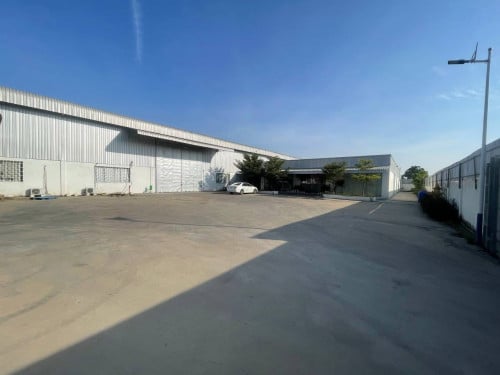 ឃ្លាំងជួល ដង្កោ