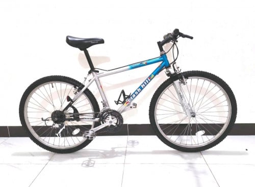 ជជុះជប៉ុនមួយទឹកស្រុកគេ