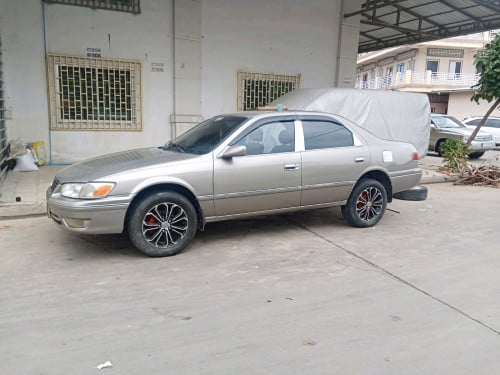 ឆ្លាមឆ្នាំ 97 លក់សាង