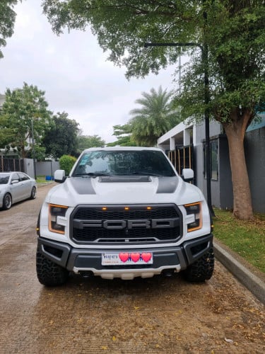 2019 Ford F-150 Raptor LOBO