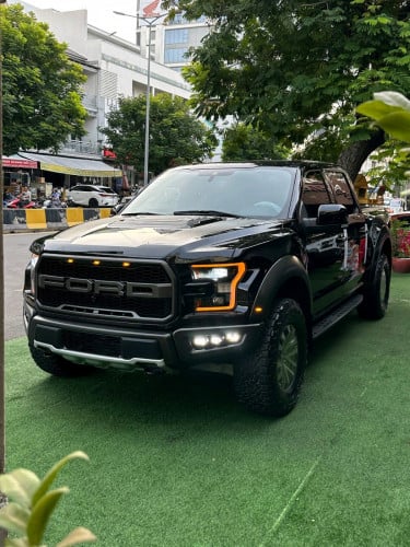 Ford f-150 Raptor 2019 LOBO