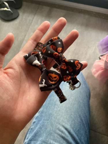 Necklace (price 1.5$>2.5$)