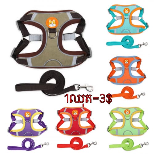 Walking line (3$>5.5$)