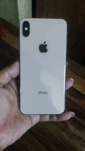 Xs Max 256g WiFi only