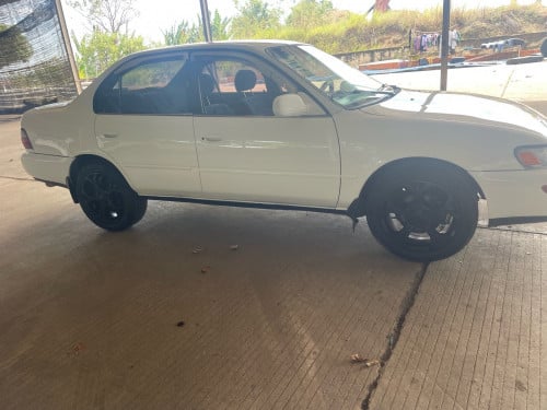 ម្ចាស់​លក់​ប្រញាប់​លុយ​