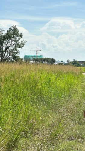 ដីលក់បន្ទាប់តម្លៃក្រោមទីផ្សារ