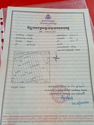 ដីលក់បន្ទាន់ជាប់ផ្លូវមុខក្រោយ