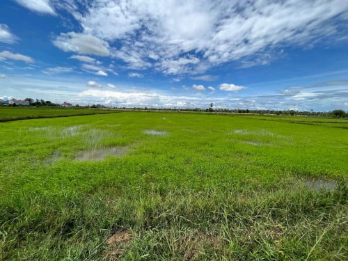 ដីលក់ផ្លូវព្រែក ទន្លេបាទី