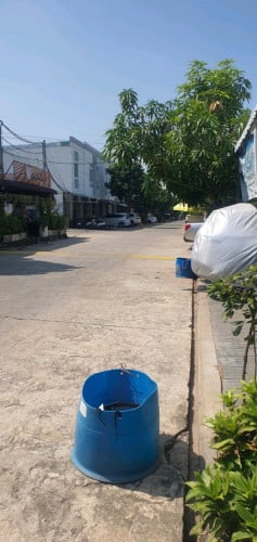 ឈូកវ៉ា៣