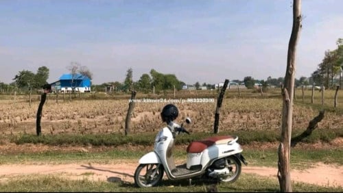 ដីស្រែជាប់ភូមិ លក់ម្ចាស់ផ្ទាល់ ប្លង់រឹង ជាប់ផ្លូវរដ្ឋ12 ម៉ែត្រ