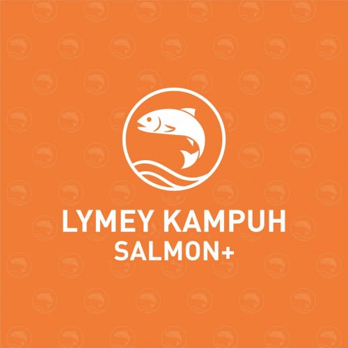 គណនេយ្យ ចំនួន 5រូប