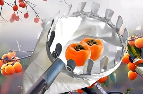 ដង កន្រ្តកបេះផ្លែឈើ ហូតបានប្រវែង5m មាន3មុខងា