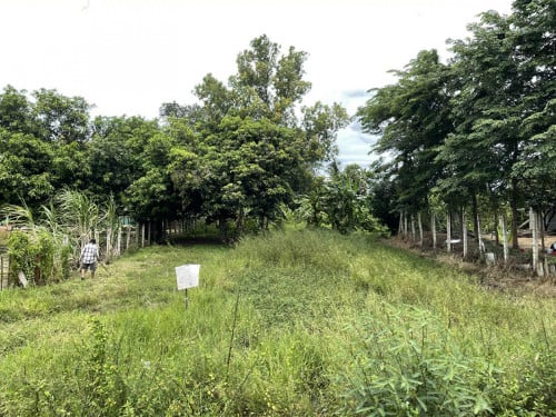 ដីលក់បន្ទាន់​ (Land for sale urgent)