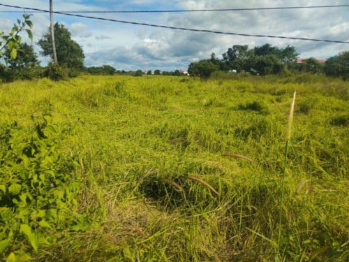 🏦Land for Urgent Sale (Negotiable), ABA Loan Available
