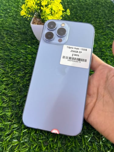 13 Pro Max ZP