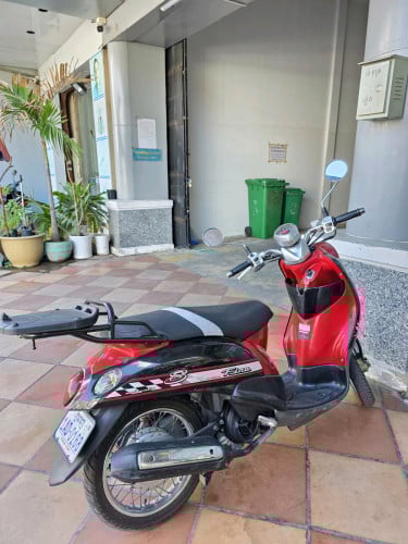 Fino 2008 សុំណុំដើម☘️