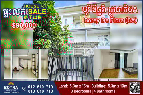 Linkhouse for Sale Borey De Flora, National Road 6A