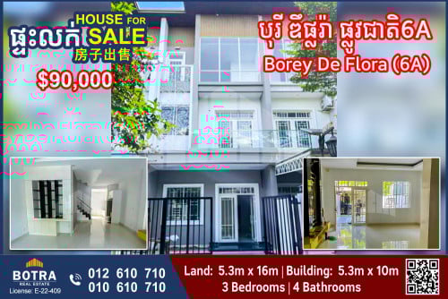 Linkhouse for Sale Borey De Flora, National Road 6A