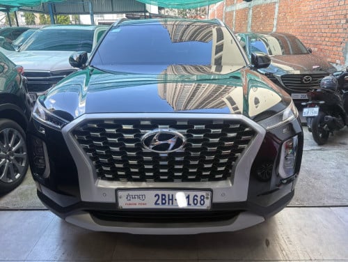 Palisade Full 2020 ថ្នាំ​ស៊ីន​មួយ​ជុំ​