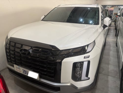 Palisade Full 2023 ថ្នាំ​ស៊ីន​មួយ​ជុំ​ មហាថ្មី​