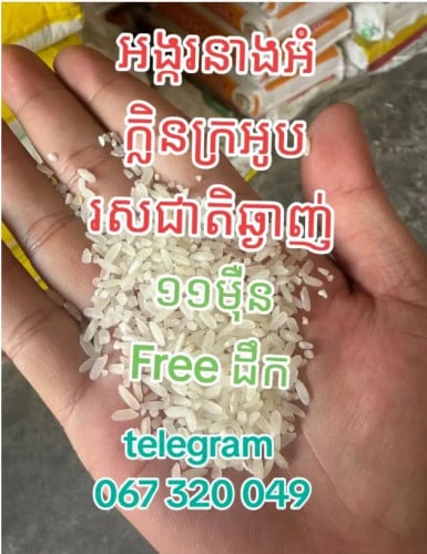 អង្ករនាងអំ