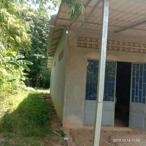ដីផ្ទះជួល