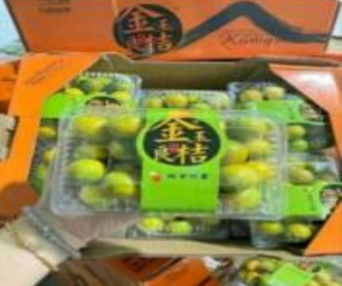 盒装金桔（12盒装）