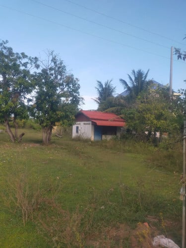 ដីនិងផ្ទះលក់ 12 គុណ 50