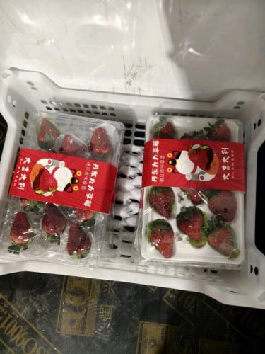 丹东99牛奶草莓（1箱2盒）