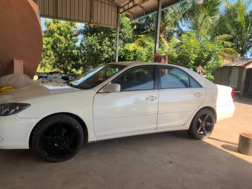 077953481 0976953939