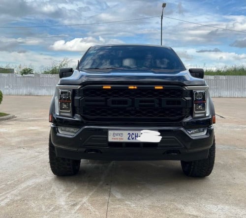 Ford F150 Platinum 021
