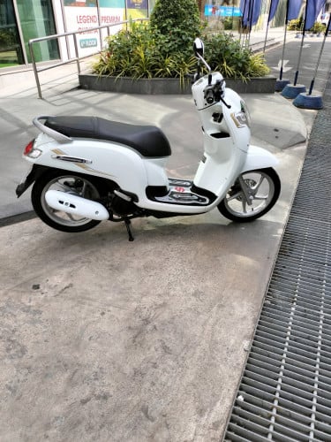 Honda scoopy 2019