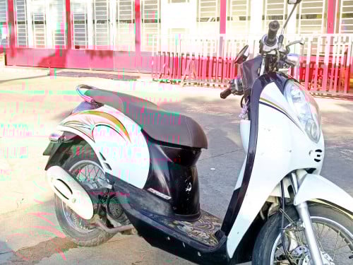 Honda Scoopy